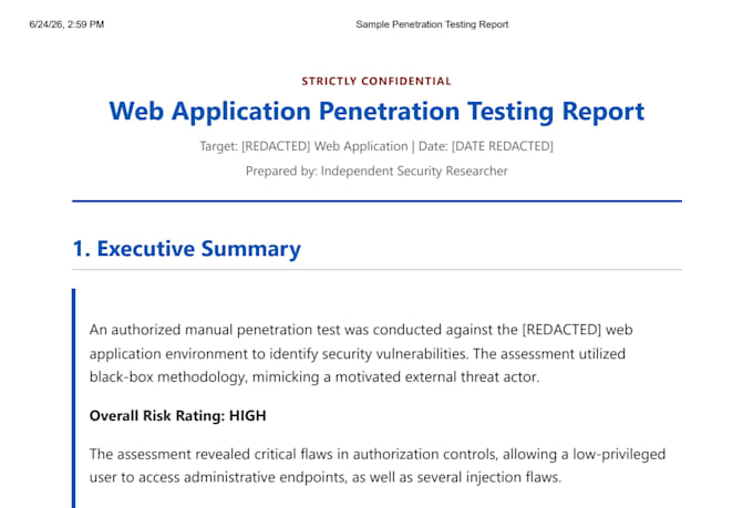 perform professional penetration testing on your website